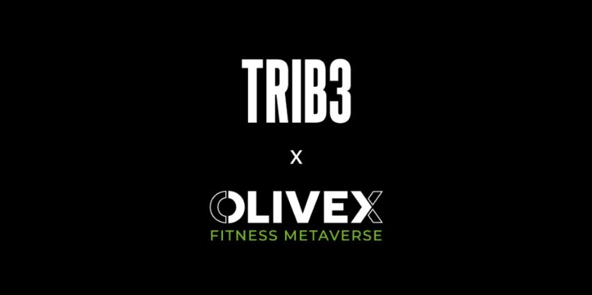Metaverse fitness: how can health and fitness brands get ready?