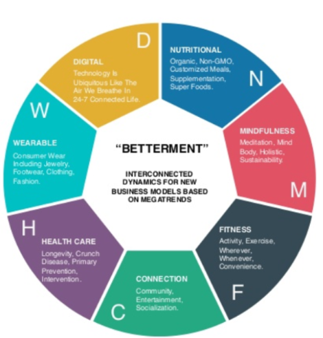 Betterment Industry Wellness Wheel